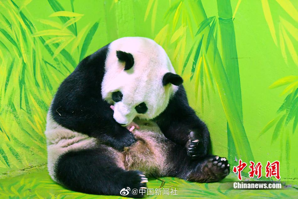 乌克兰处破女www免费