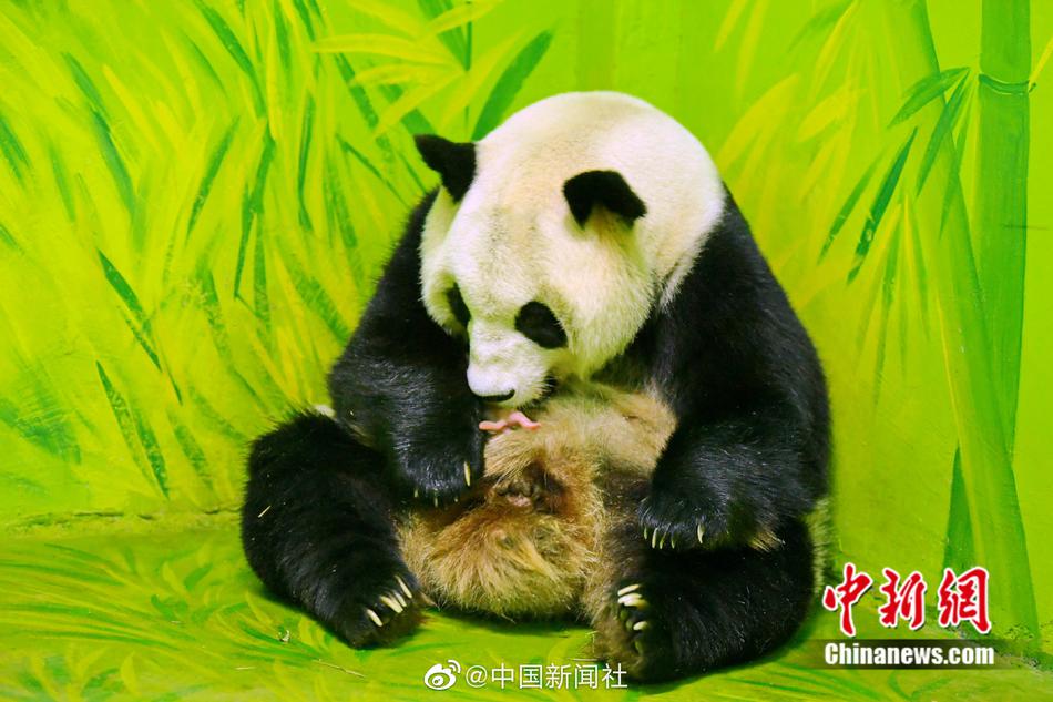 新聞主播