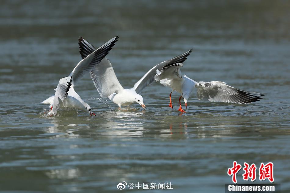 白丝老师让我 了一节课