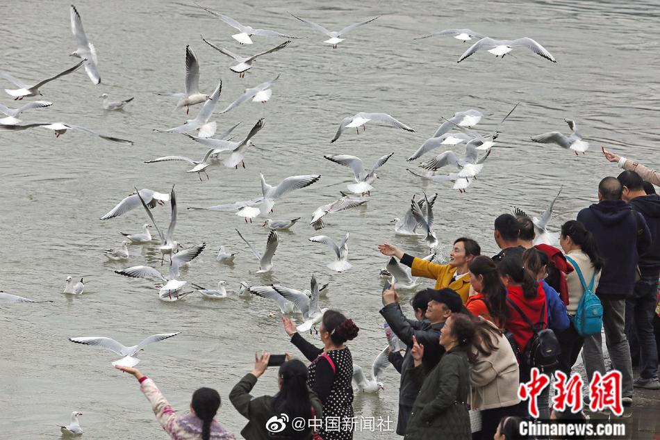 免费观看三级黄片