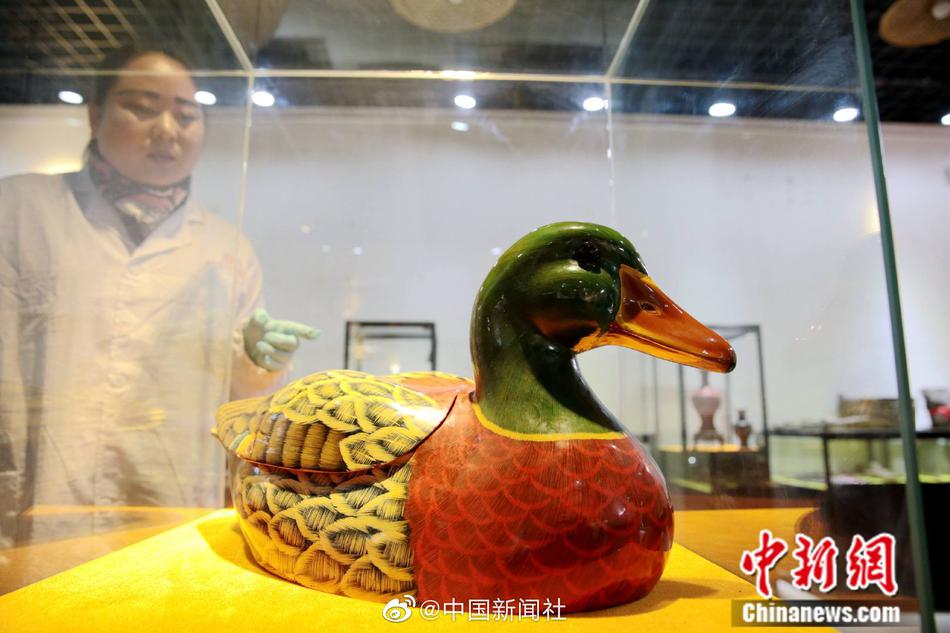 腿控