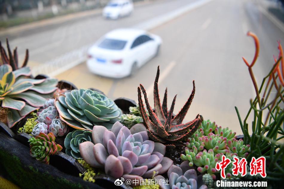 多人混戰長片