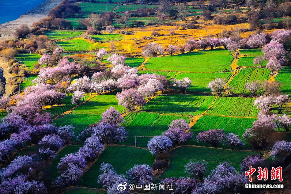 插进去操吃奶