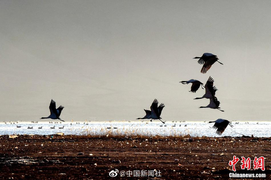 性欧美老妇另类Xxxxx