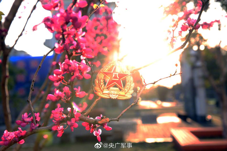 黄色 网站 免费 在线 观看