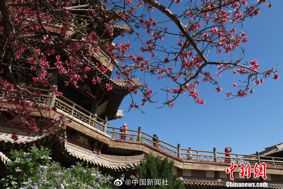 江苏少妇性BBB搡BBB爽爽爽