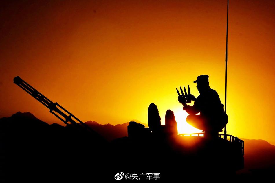 欧美熟妇性内谢