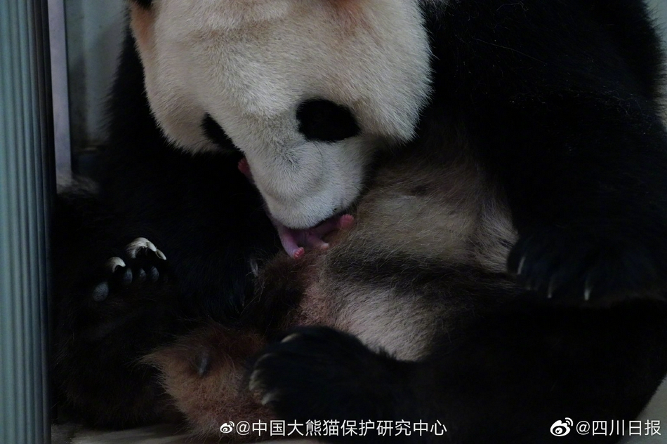 中国富婆按摩偷拍视频