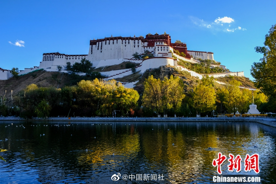 成都4Α片免费高清