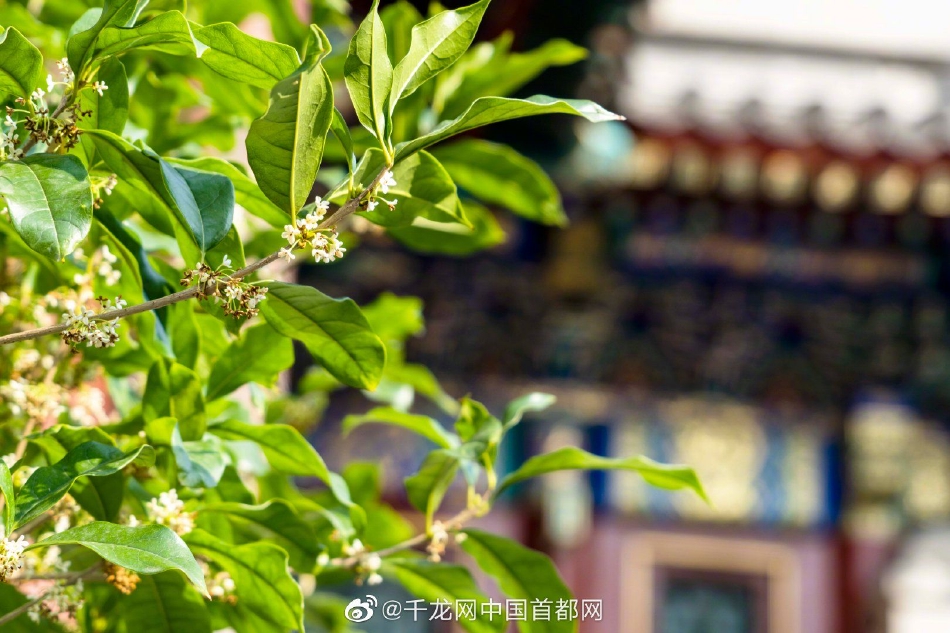 刺激性爱