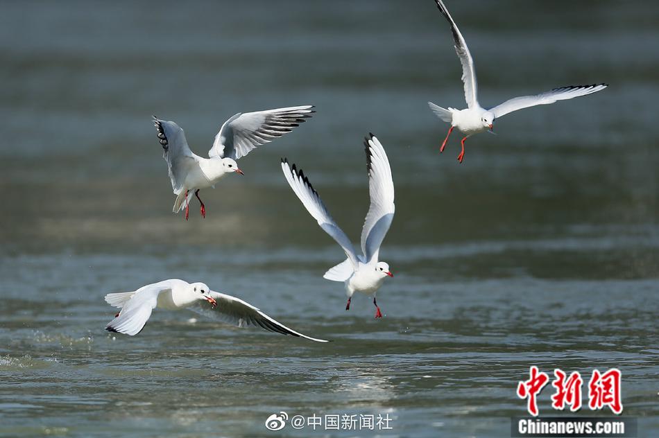 黄色电影的黄片大黄色电影的黄片黄色电影黄片