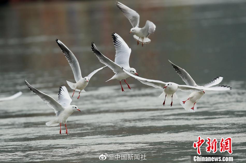 吸陰蒂