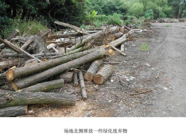 好 色 先 生tⅴ