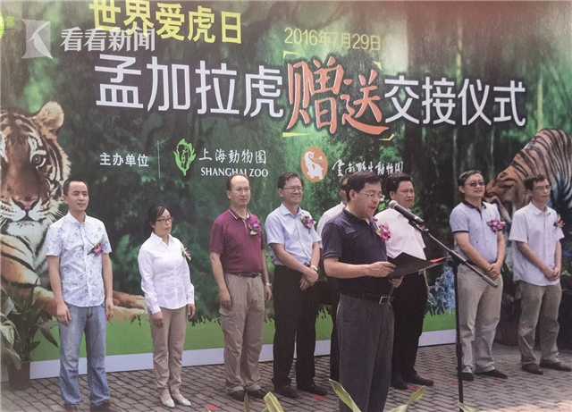 四级黄片图片