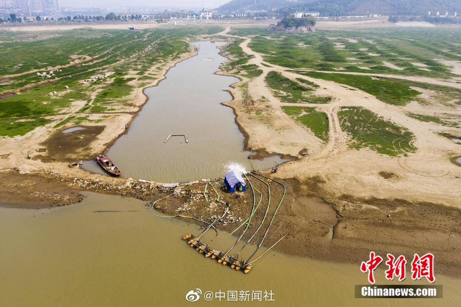 欧美片A大片黄色