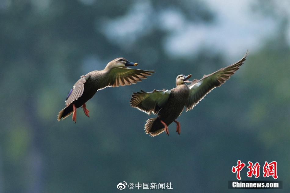 黑人双人J8与刘玥在线