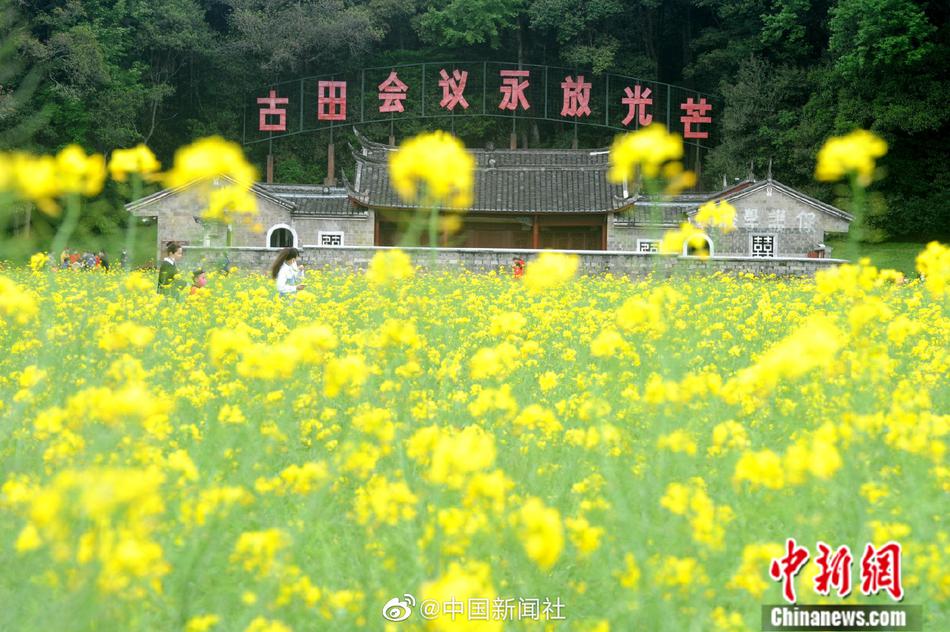 黄色网站是什么