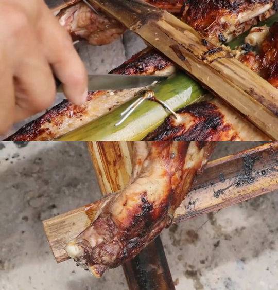 动漫靠逼