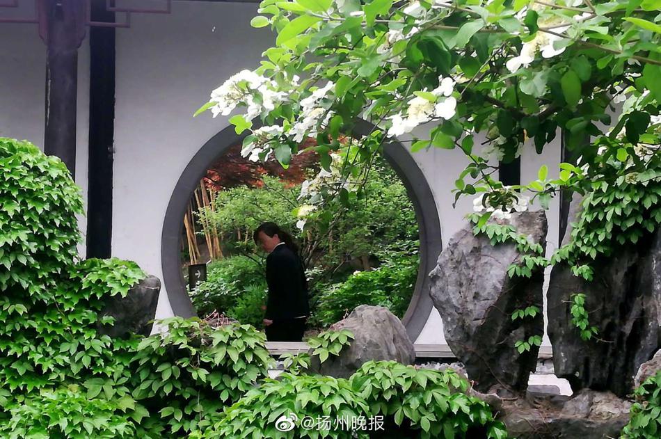 啪啪电影