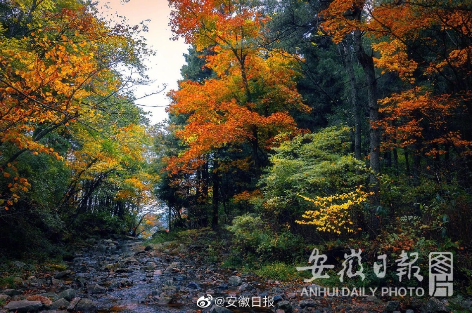 麻 豆 传媒 性爱 影片
