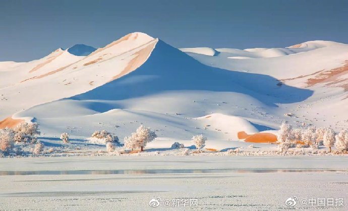 免费 色情 Av 片