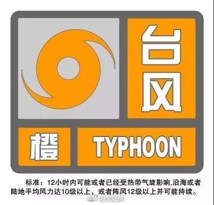 国产老女人乱