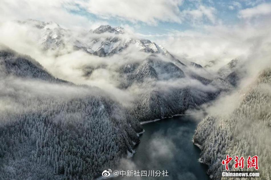 约会 网站