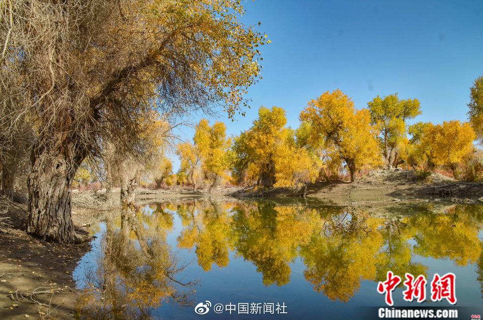 混交群体交乱在线视频