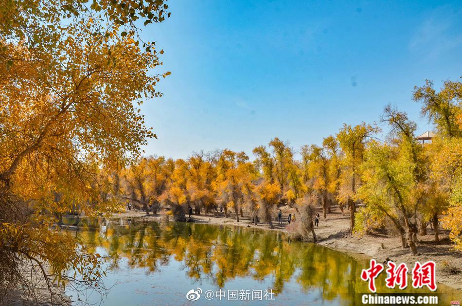 添阴帝高潮视频图片
