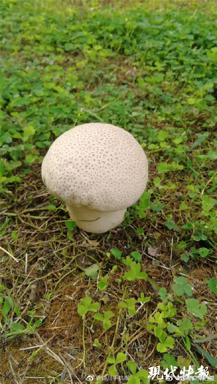 舞蹈培训班沟厕的拍摄地点介绍