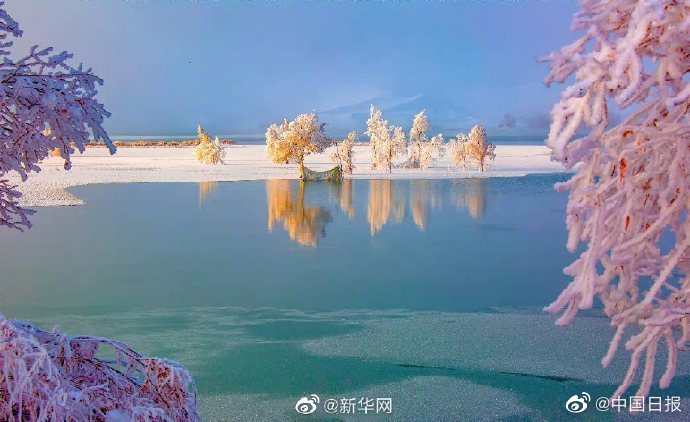 茄子视频污