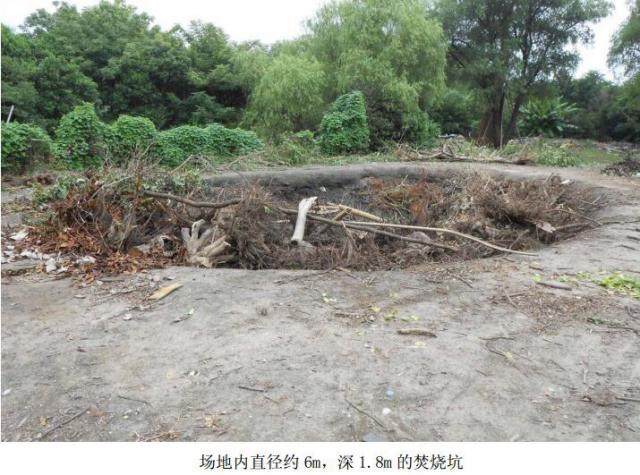 韩国 成人 电影 在线 观看