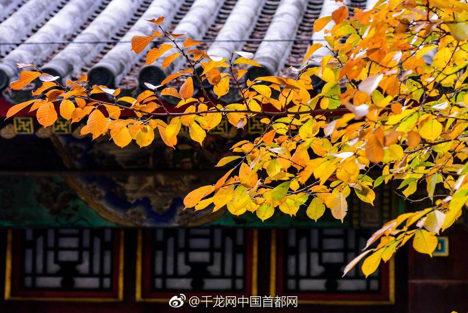 信息通信信息化系统管理员S赛项全国总决赛在威海海洋职业学院成功举办