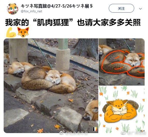 亚洲精品影院