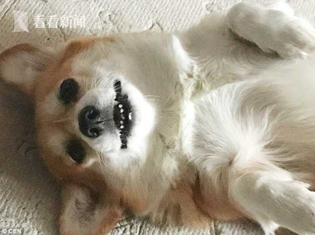 尹人香蕉