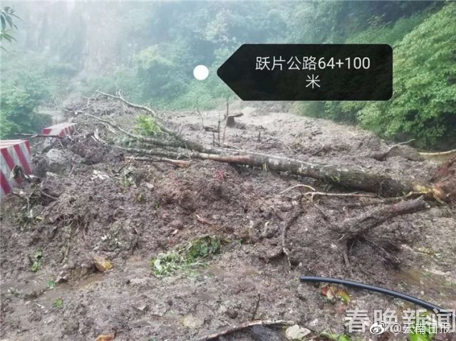24小时看B站直播的软件