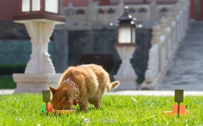 老师脱 让学生摸 动态