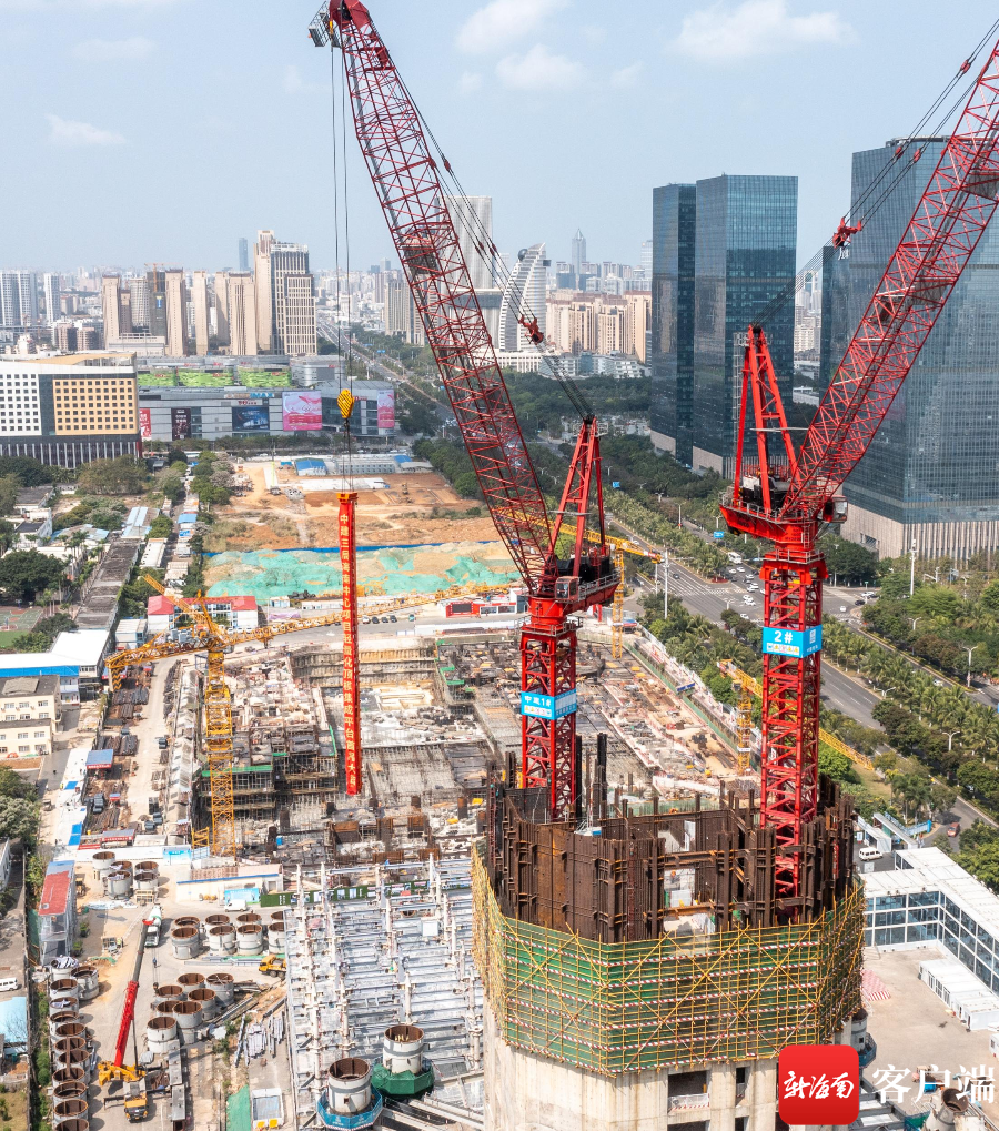 法国空姐2024满天星法版:星辉照耀下的职业光芒