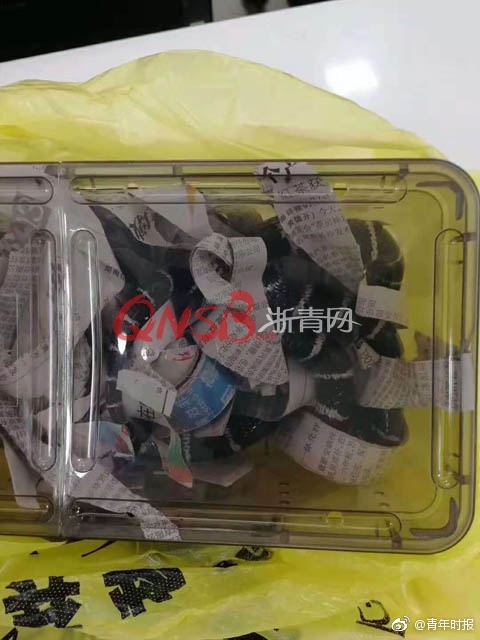 8x8海外华人