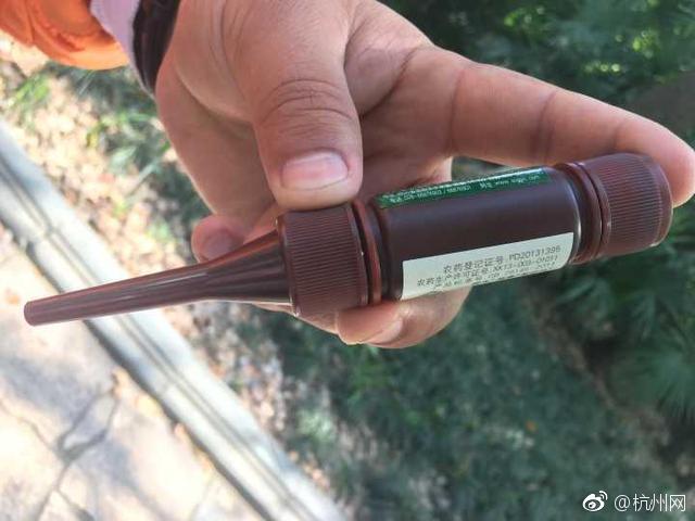 色哟哟哟