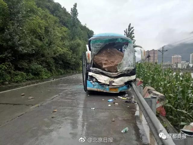A级毛片黄片三级
