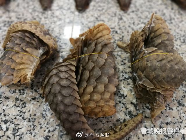 国产91  白丝在一线播放