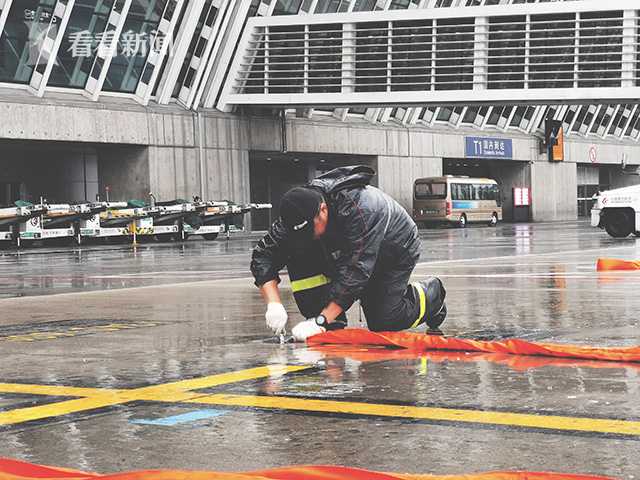 穿越火线关小雨拔萝卜