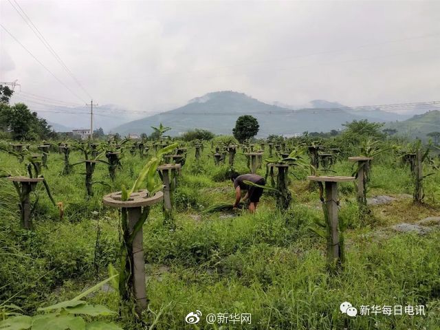 黄-色-毛-片-网站