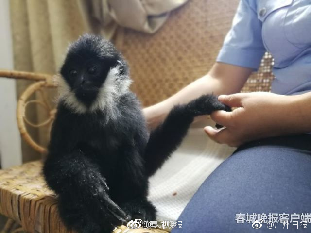 国产乱伦视频