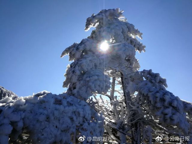 黄色网站第二部