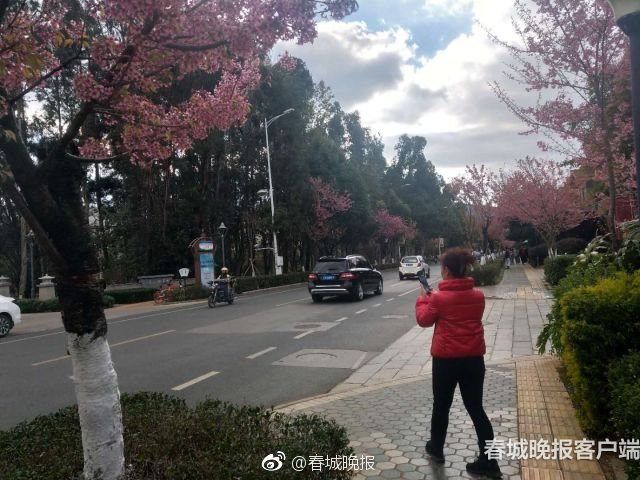 久久精品中文字幕