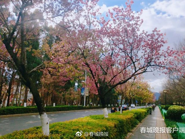 美国色网站