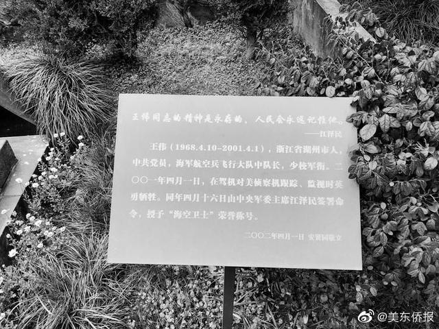 小澤圓