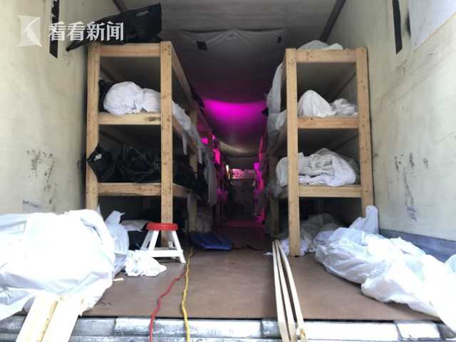 迷你比基尼
